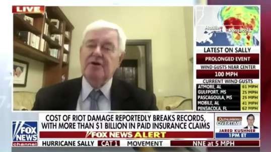 Jewish Deplorable - Fox News panel melts down when Gingrich calls out Soros